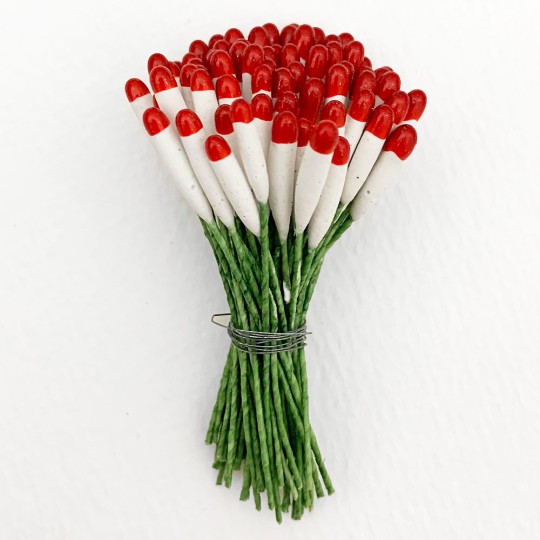 Long Red and White Cigar Stamen with Green Wired Stems