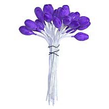 Purple Bud Flower Stamen ~ Germany