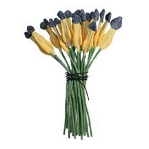 Yellow and Black Paddle Shaped Flower Stamen ~ German