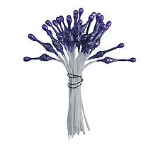 Purple Fantasy Specialty Flower Stamen ~ Germany