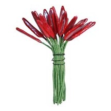 Pearly Red Elongated Spear Shaped Stamen ~ Germany