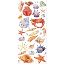 1 Sheet of Stickers Sea Shells