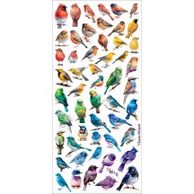 1 Sheet of Stickers Rainbow Birds