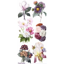 1 Sheet of Stickers Elegant Flowers