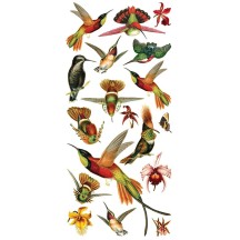 1 Sheet of Stickers Hummingbirds and Orchids
