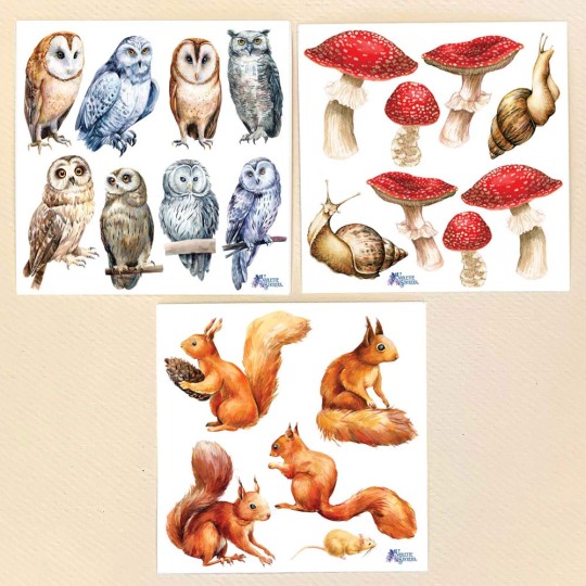 Petite Stickers of Squirrels, Mushrooms and Owls ~ 3 Sheet Mixed Sticker Set