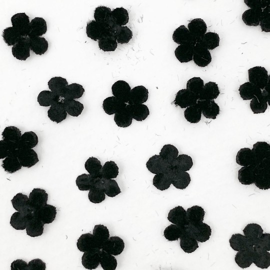 Mini Die-cut Velvet Forget Me Not Flowers ~ Set of 48 ~ BLACK