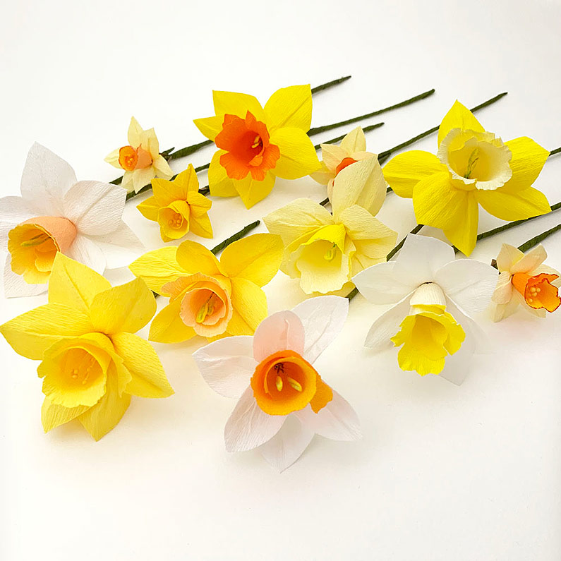 . Crepe Paper Flower Kit Daffodil